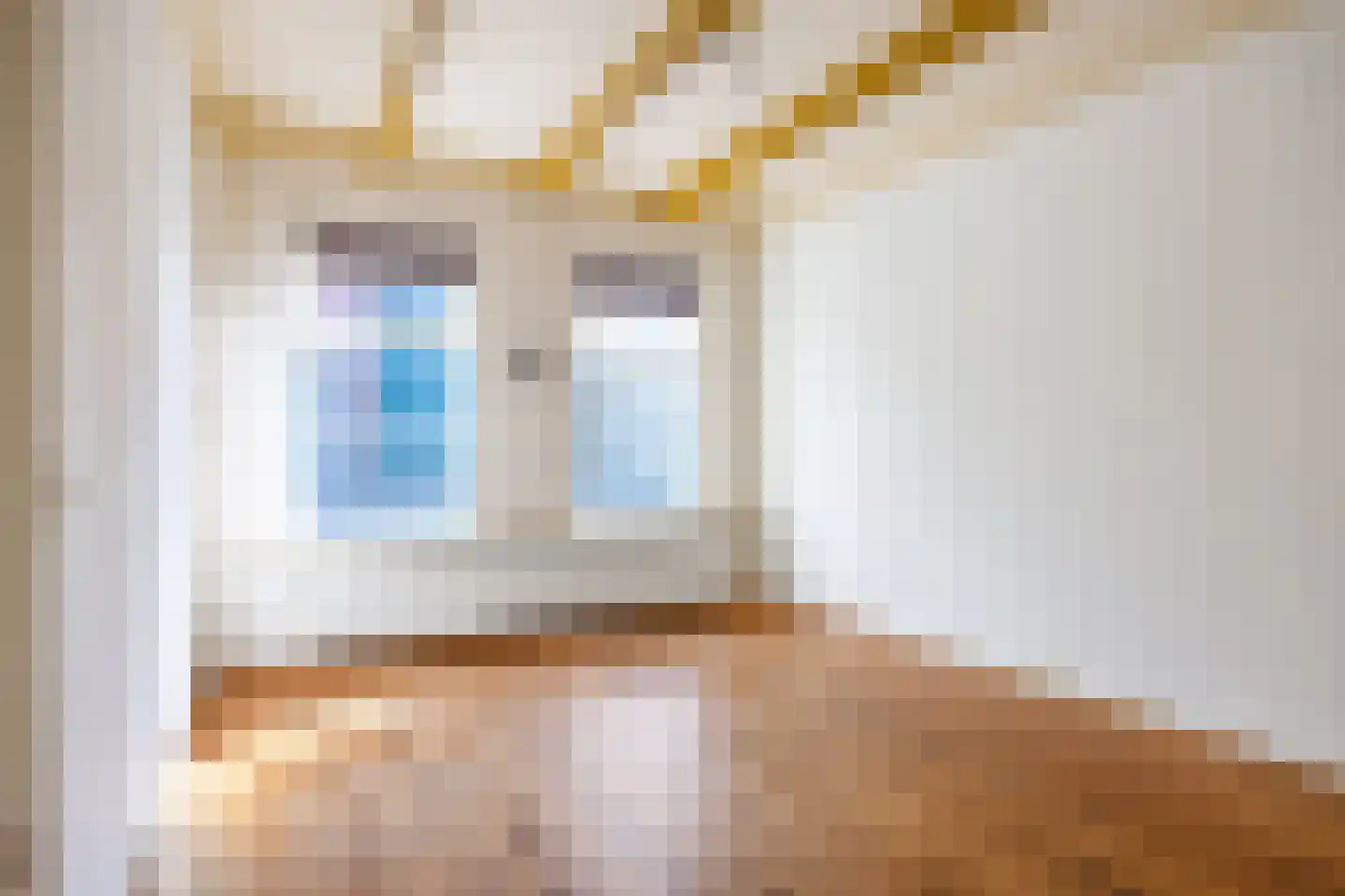 Singelweg 1 Grijpskerk thumbnail 7