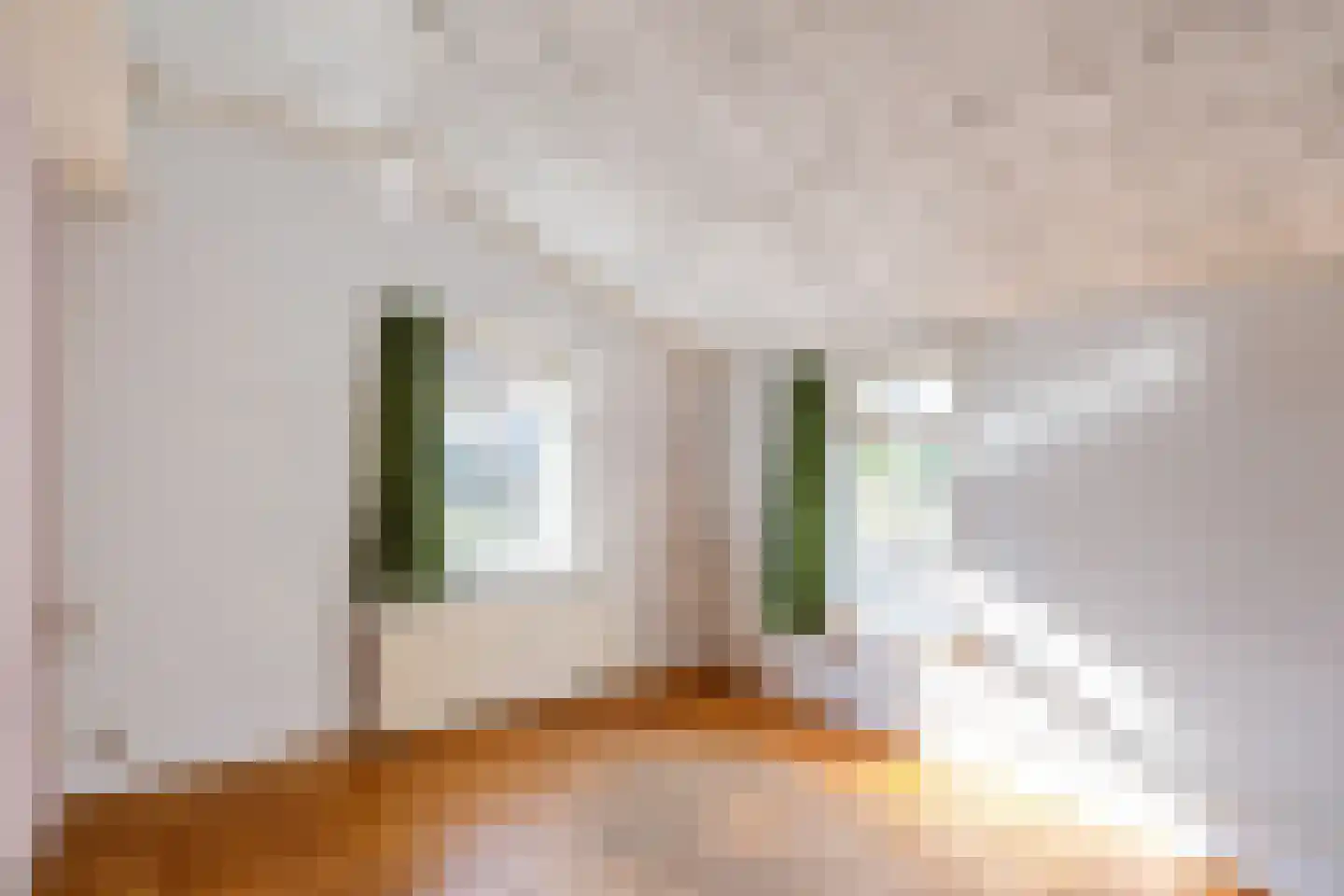 Singelweg 1 Grijpskerk thumbnail 9