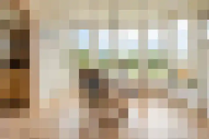 Singelweg 1 Heerde thumbnail 12