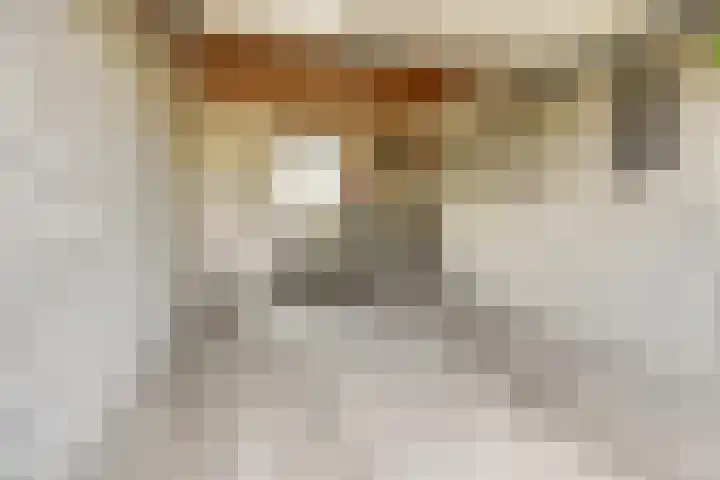 Singelweg 1 Heerde thumbnail 22