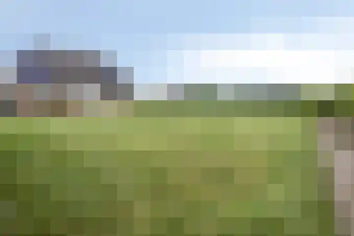 Singelweg 1 Heerde thumbnail 41