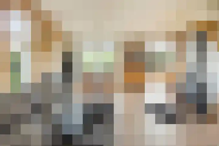 Singelweg 1 Heerde thumbnail 6