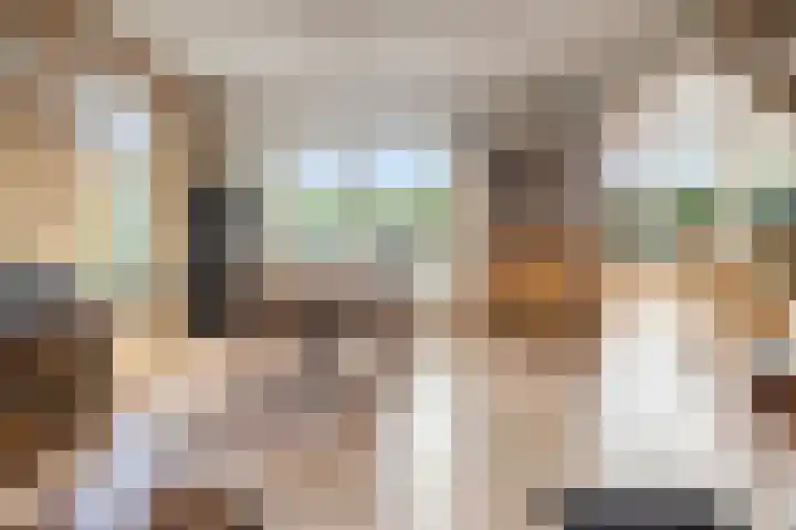 Singelweg 1 Heerde thumbnail 7