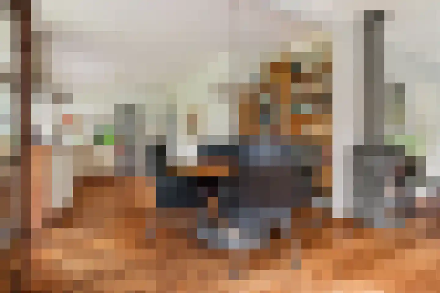 Singelweg 11 Eefde thumbnail 10