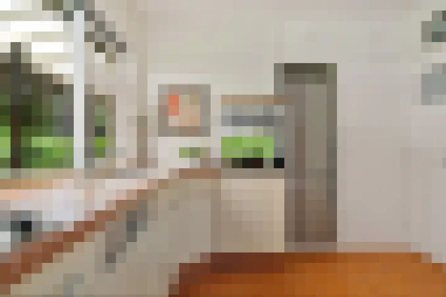 Singelweg 11 Eefde thumbnail 12