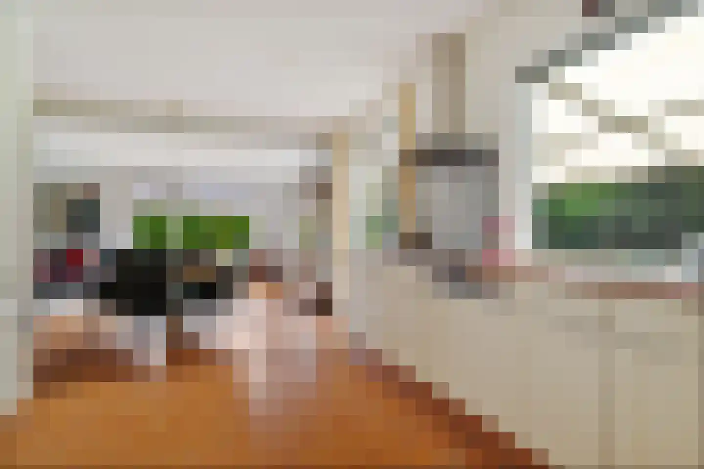 Singelweg 11 Eefde thumbnail 14