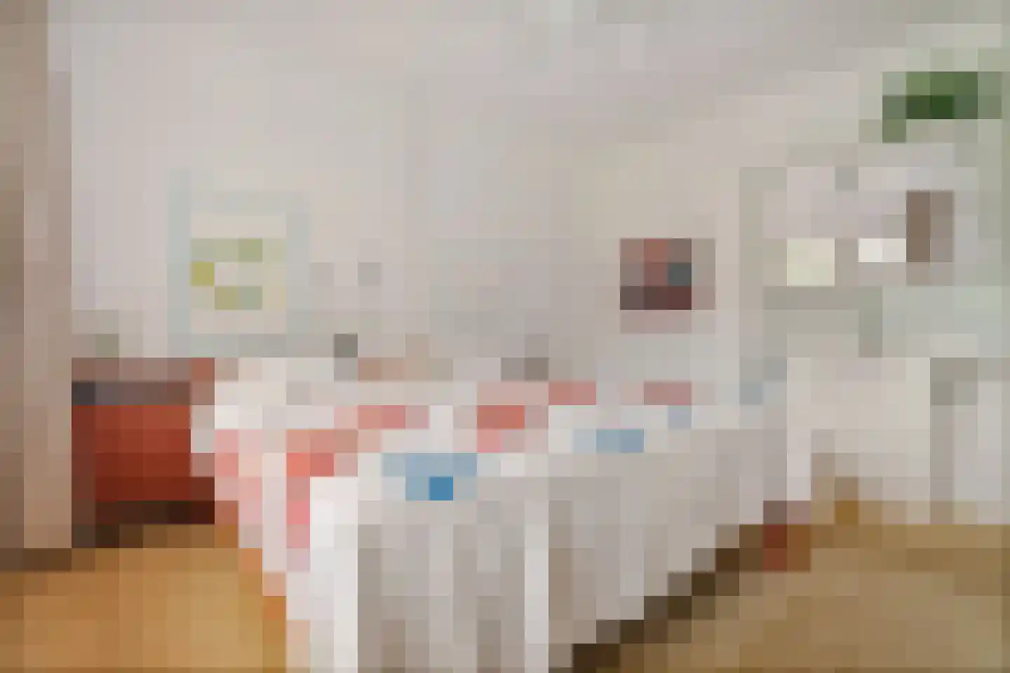 Singelweg 11 Eefde thumbnail 17