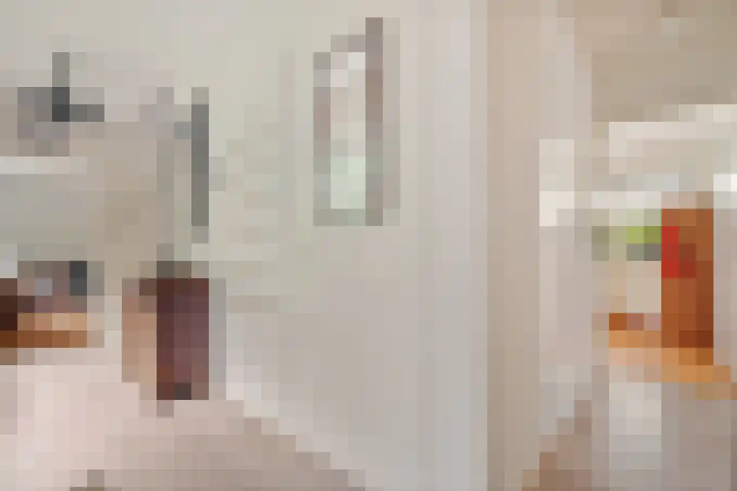 Singelweg 11 Eefde thumbnail 21