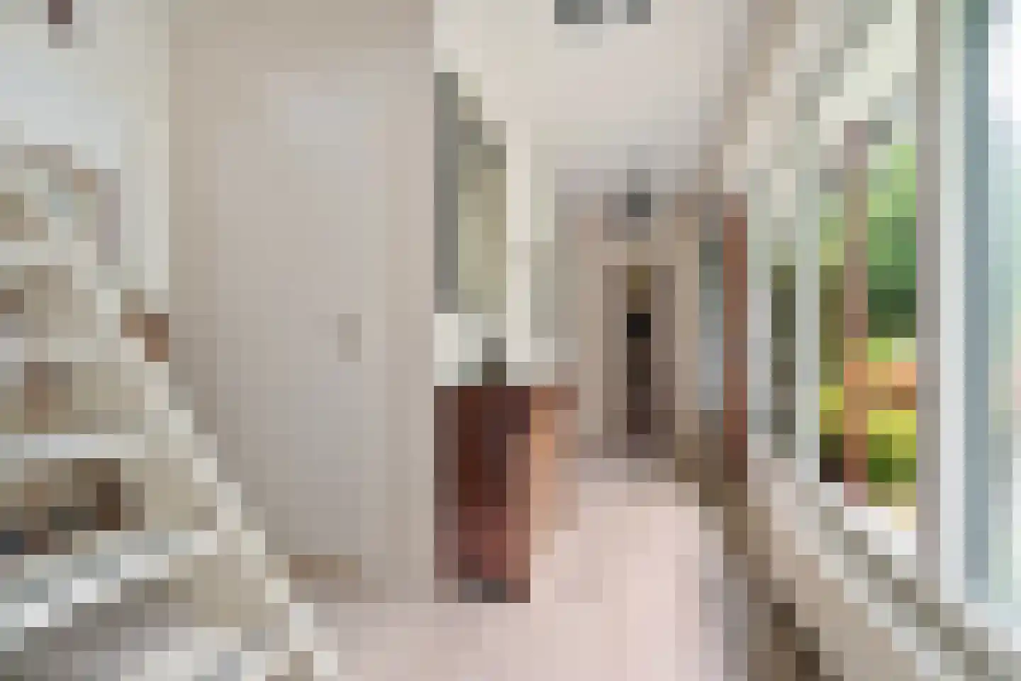 Singelweg 11 Eefde thumbnail 25