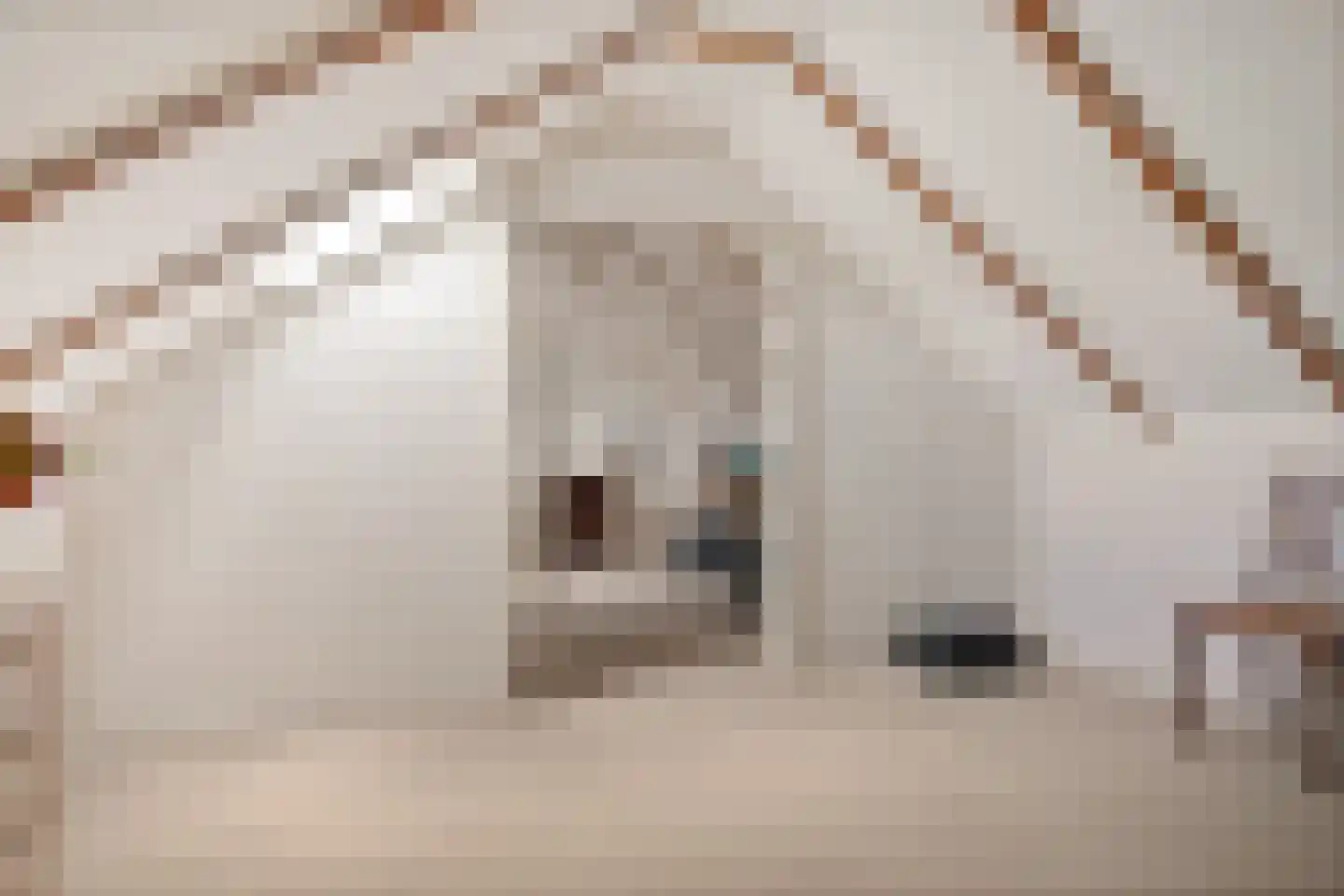 Singelweg 11 Eefde thumbnail 27
