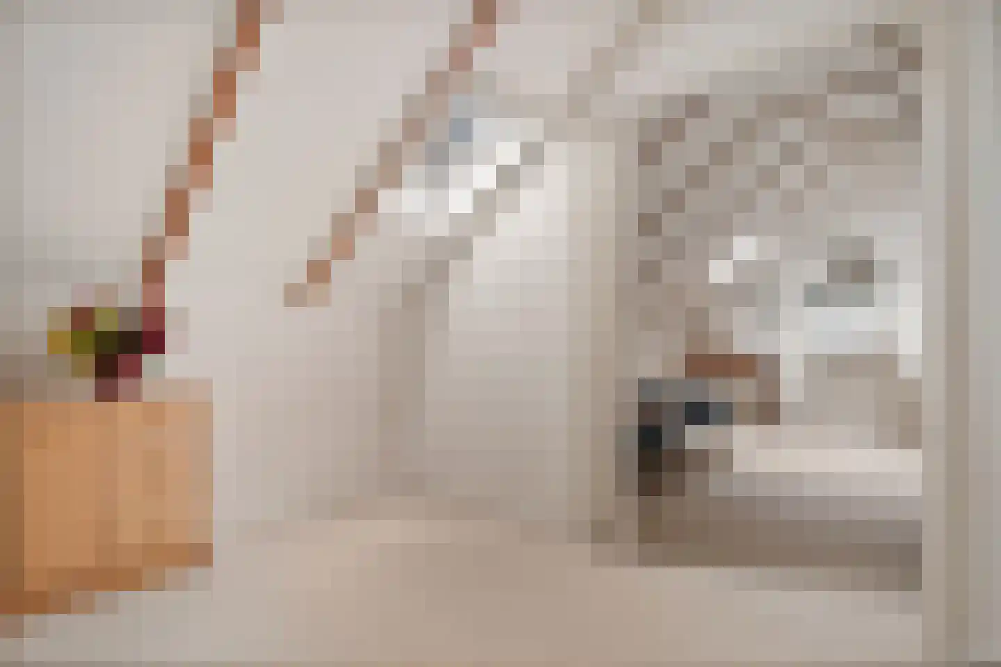 Singelweg 11 Eefde thumbnail 28