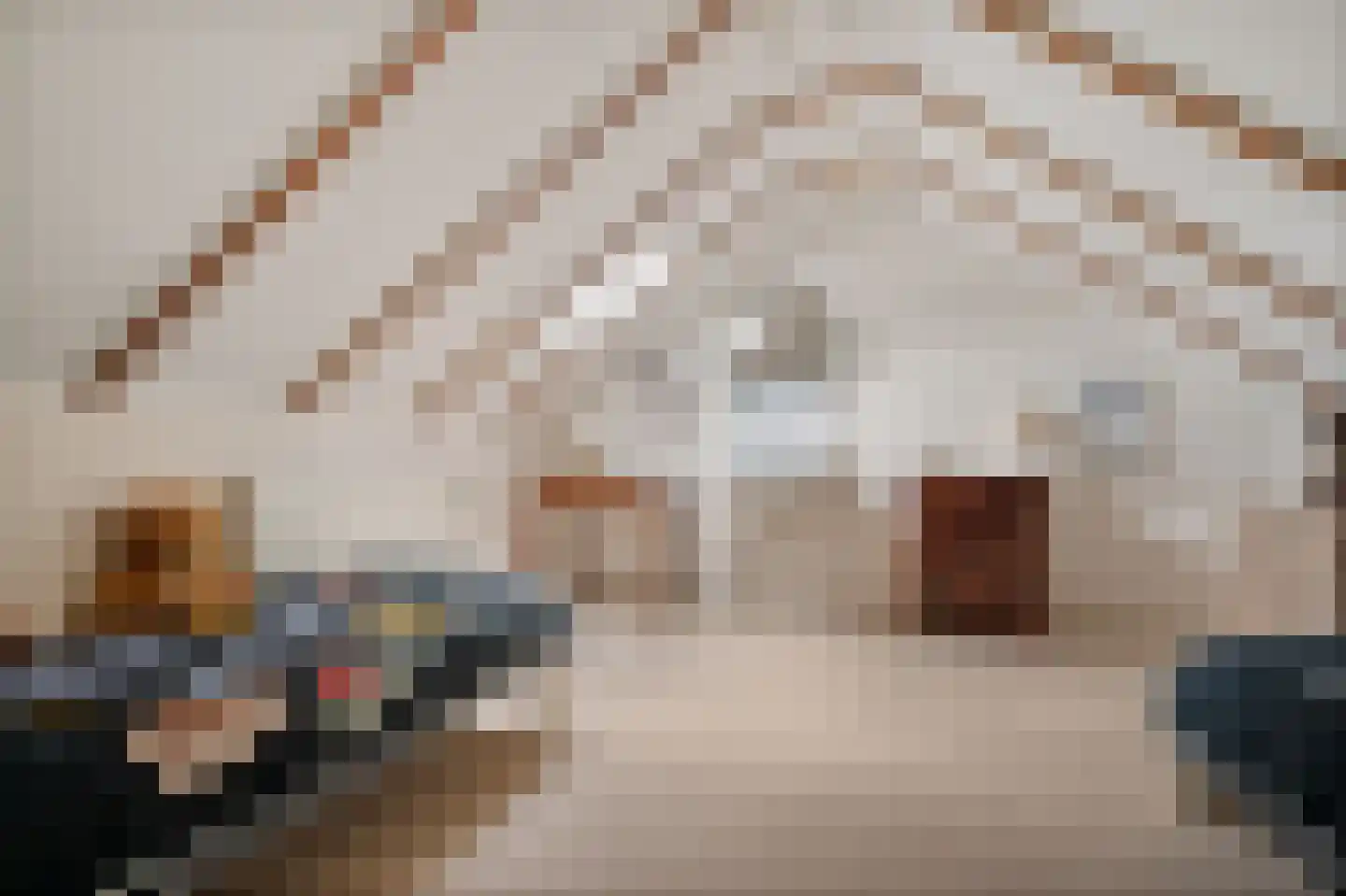 Singelweg 11 Eefde thumbnail 29