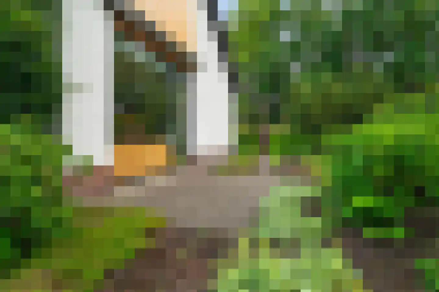 Singelweg 11 Eefde thumbnail 32