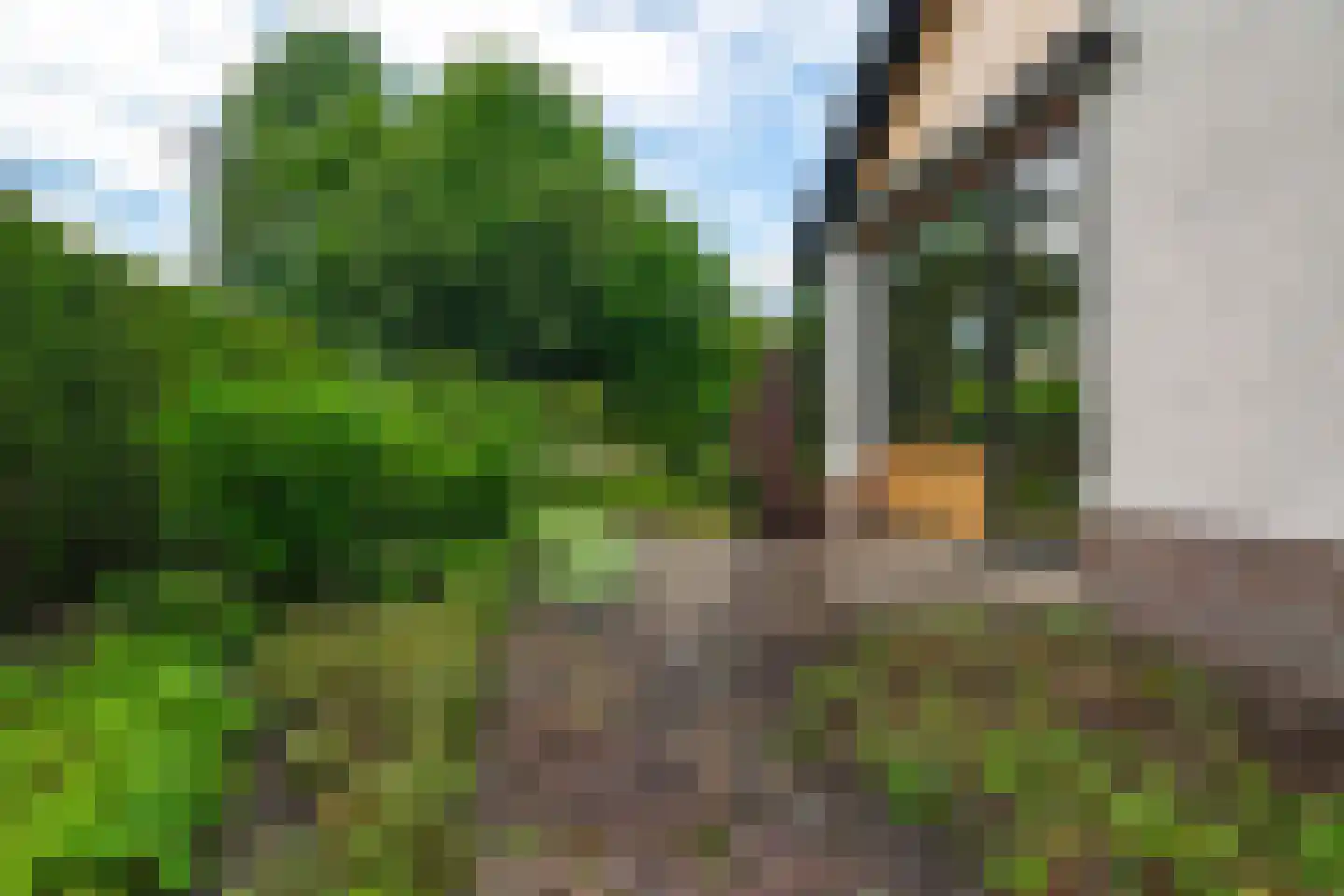 Singelweg 11 Eefde thumbnail 33