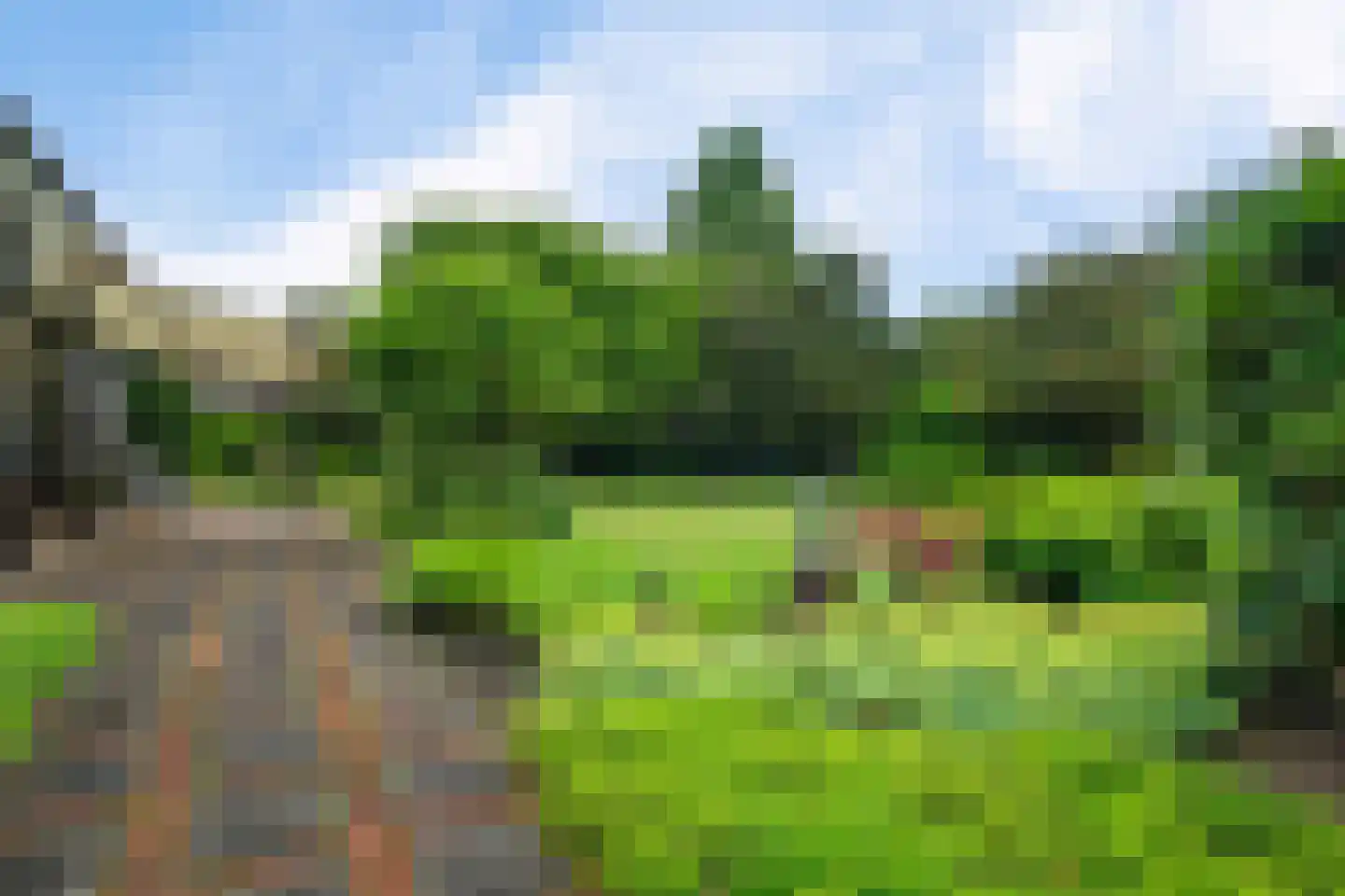 Singelweg 11 Eefde thumbnail 35
