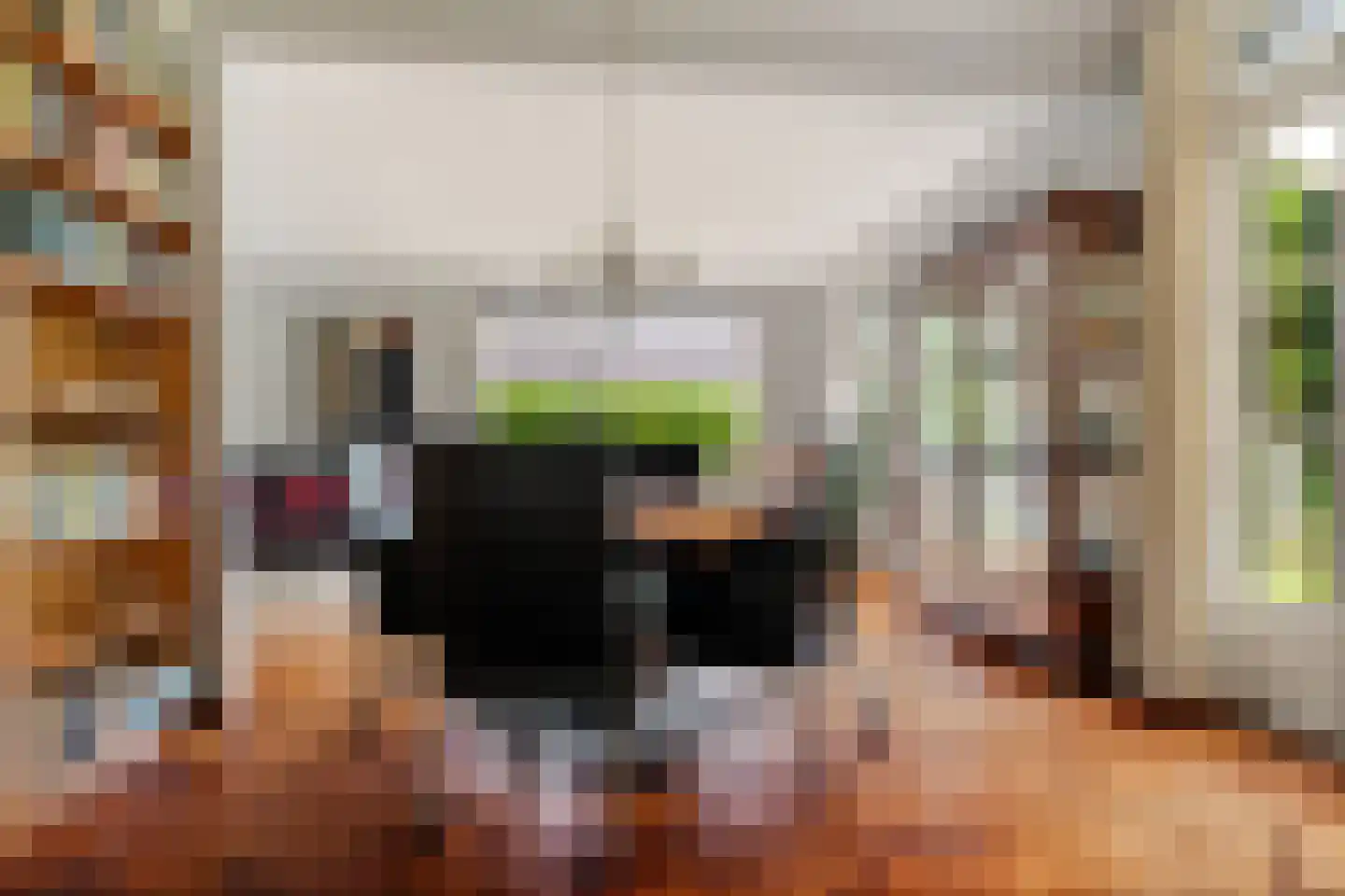 Singelweg 11 Eefde thumbnail 4