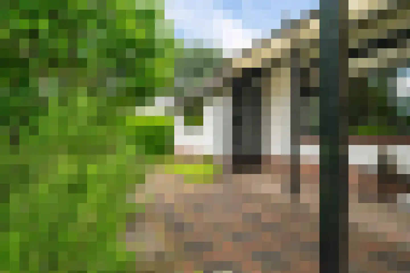 Singelweg 11 Eefde thumbnail 41