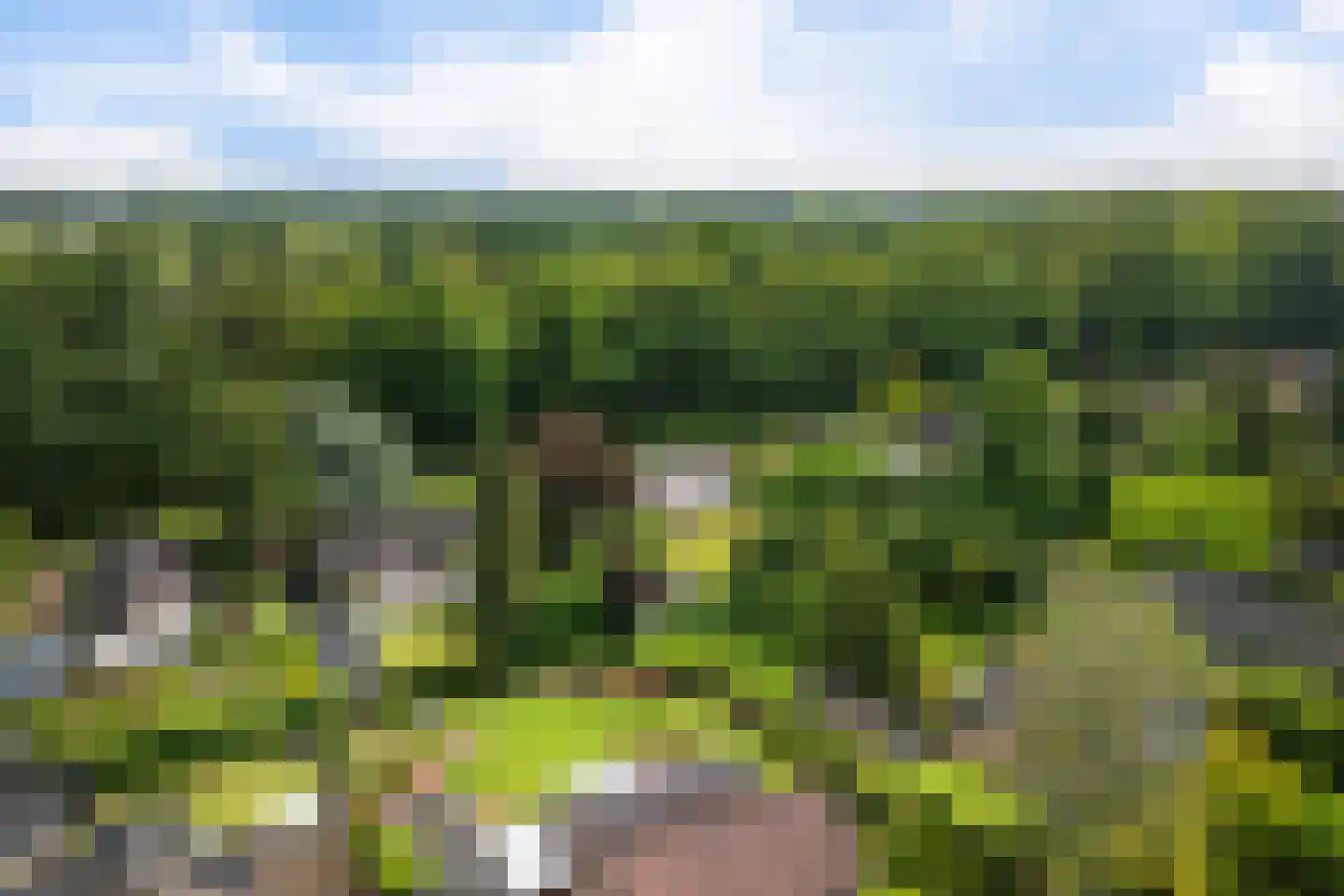 Singelweg 11 Eefde thumbnail 42