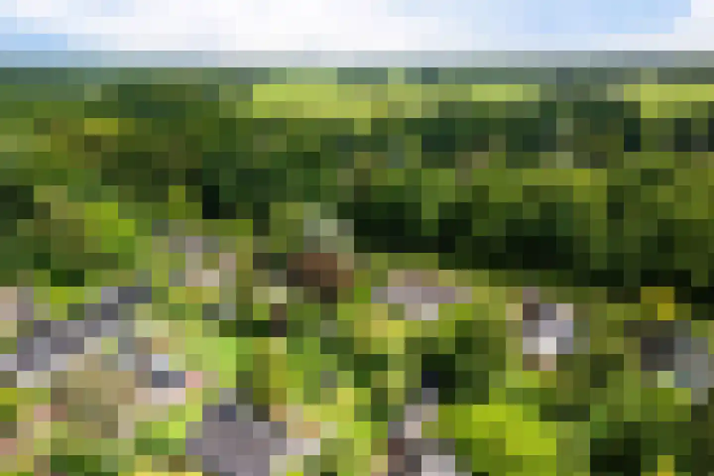 Singelweg 11 Eefde thumbnail 43