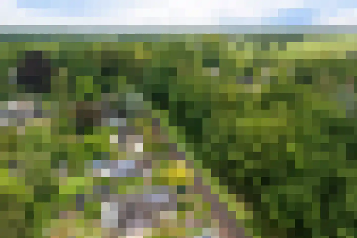Singelweg 11 Eefde thumbnail 44