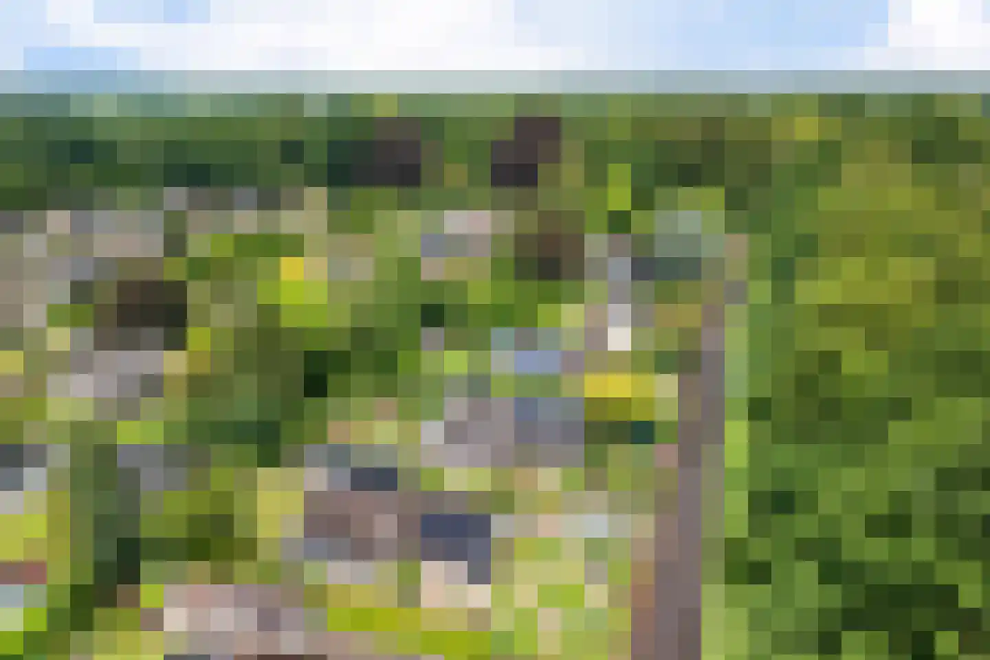Singelweg 11 Eefde thumbnail 45