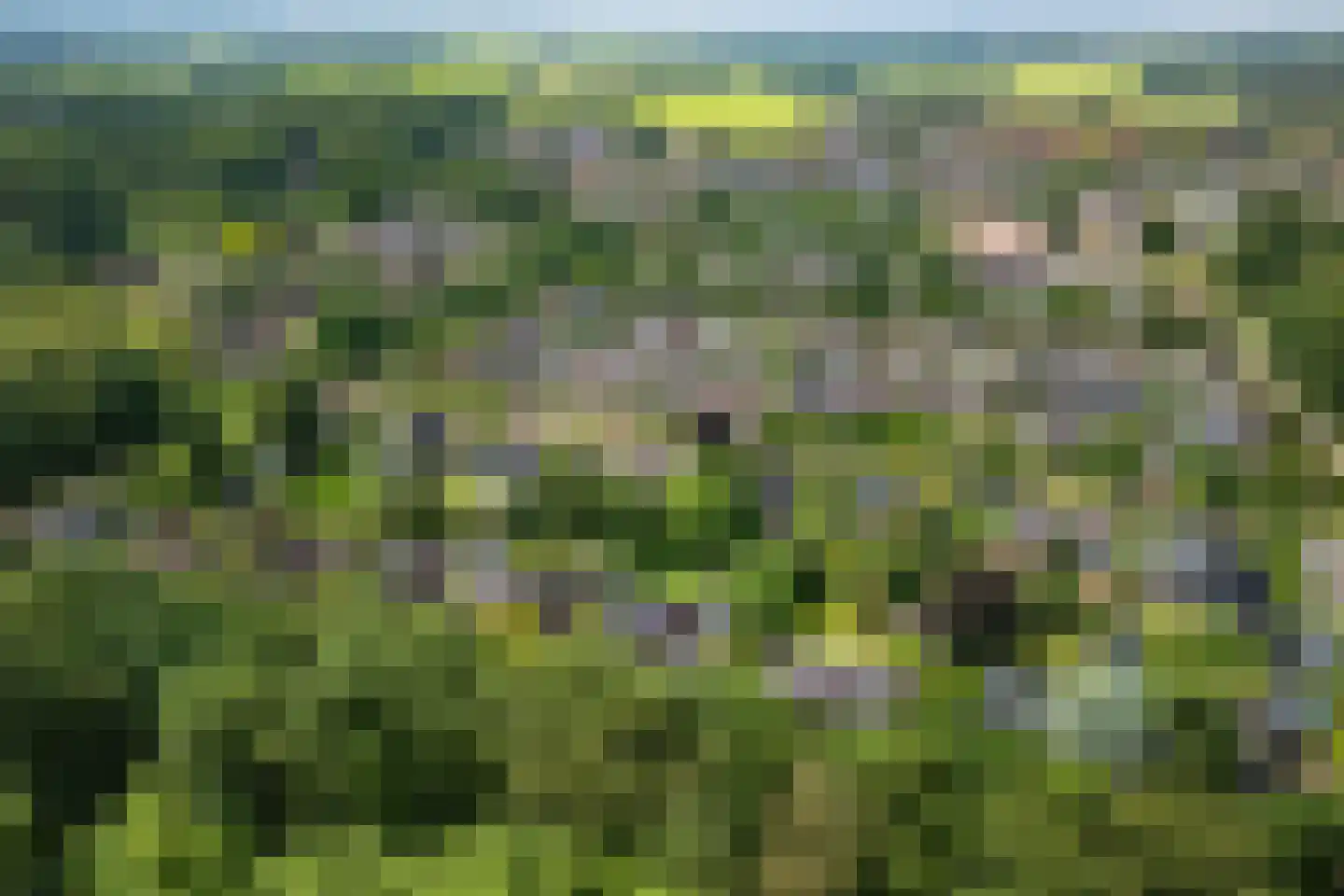 Singelweg 11 Eefde thumbnail 46