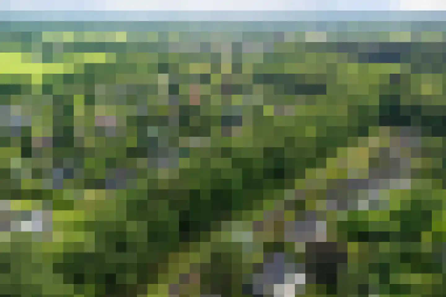 Singelweg 11 Eefde thumbnail 47