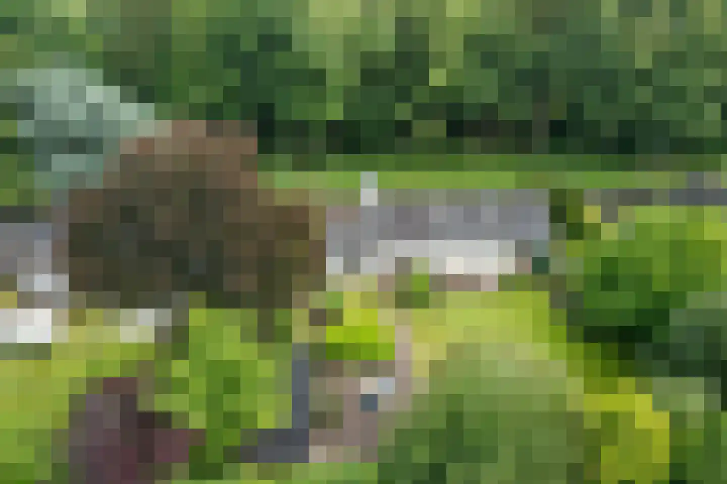 Singelweg 11 Eefde thumbnail 48