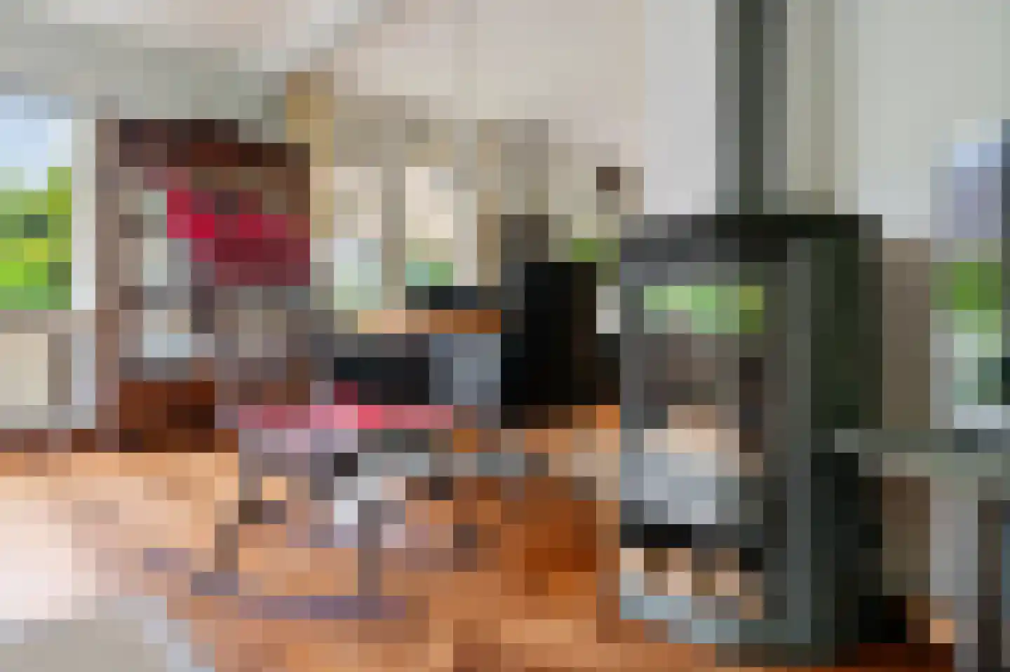 Singelweg 11 Eefde thumbnail 8