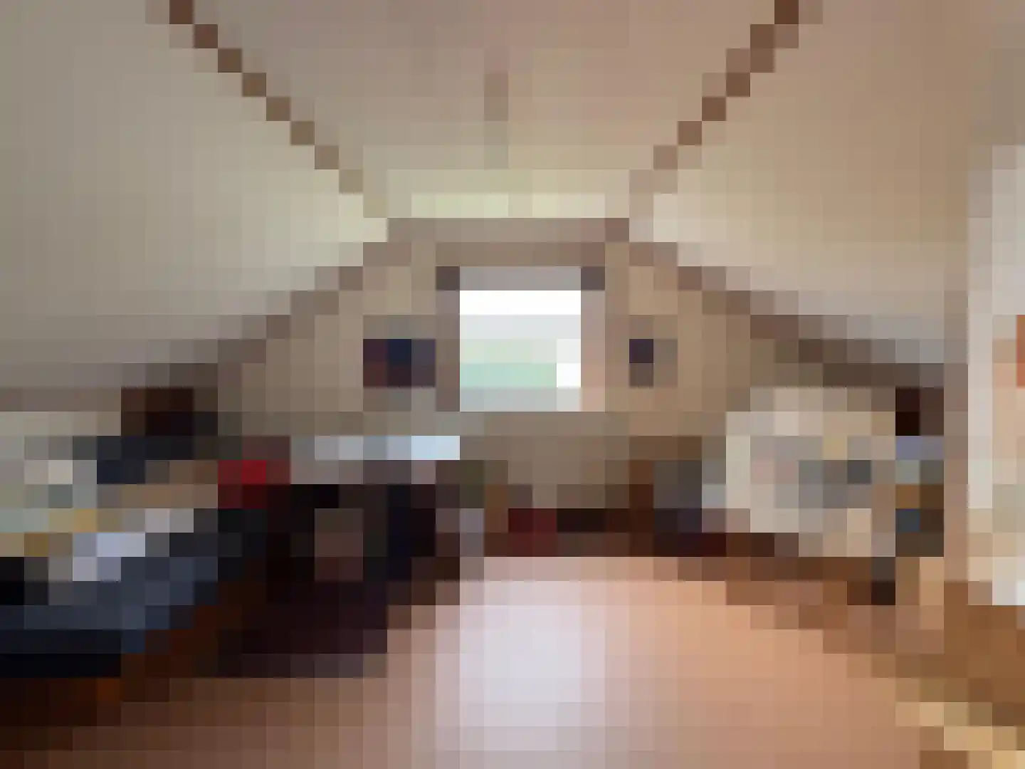 Singelweg 113 Axel thumbnail 15