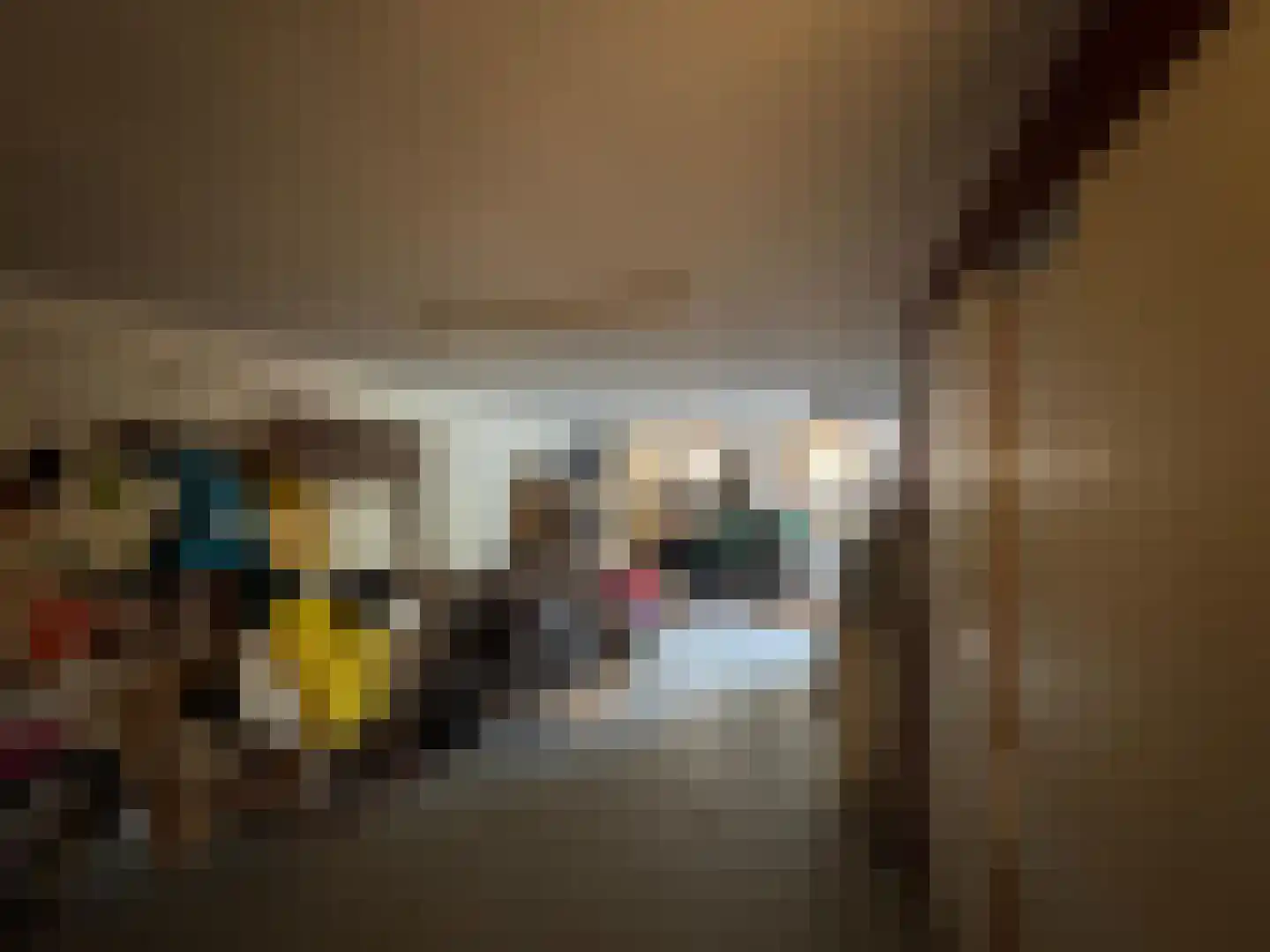 Singelweg 113 Axel thumbnail 17