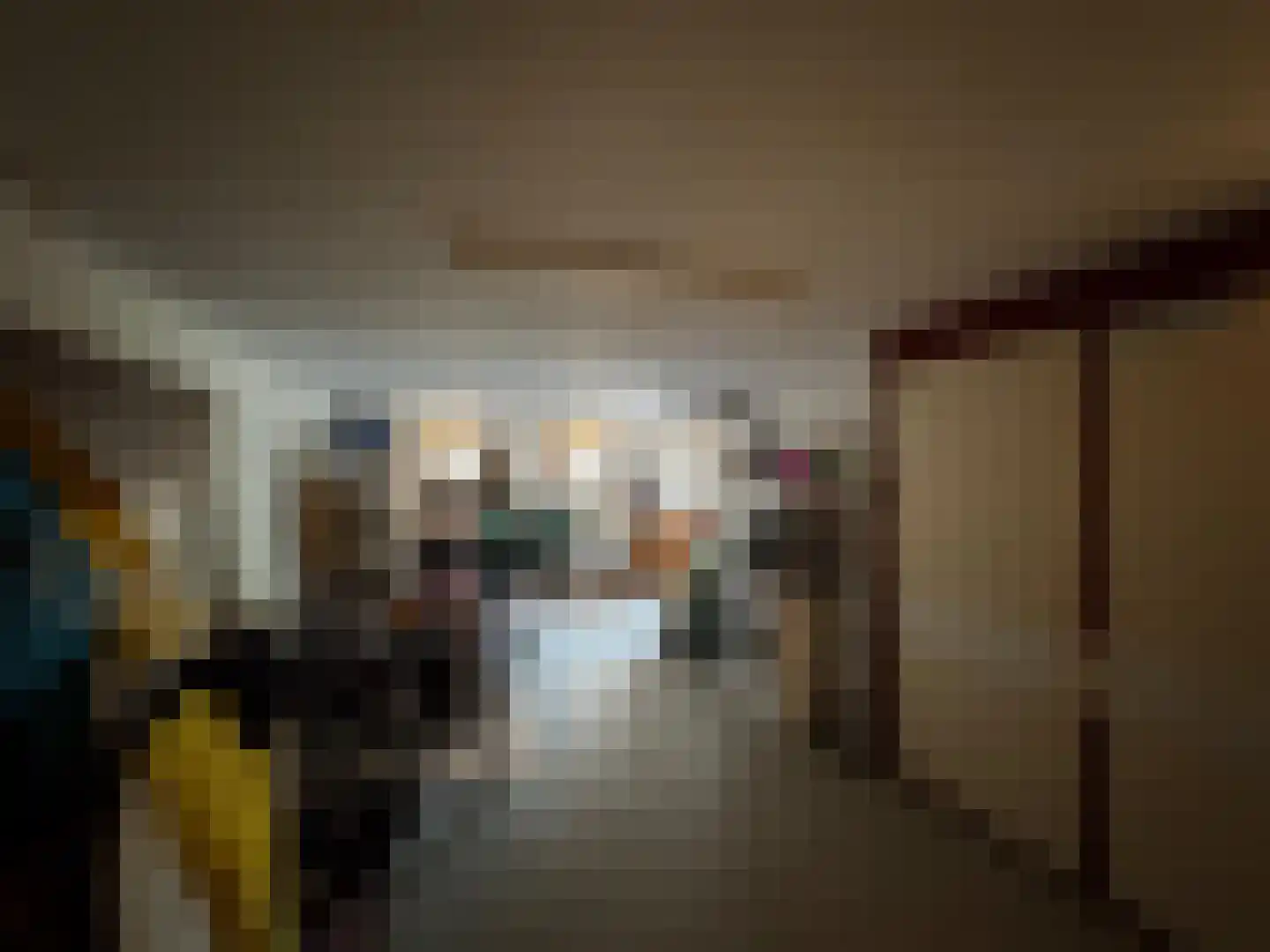 Singelweg 113 Axel thumbnail 18