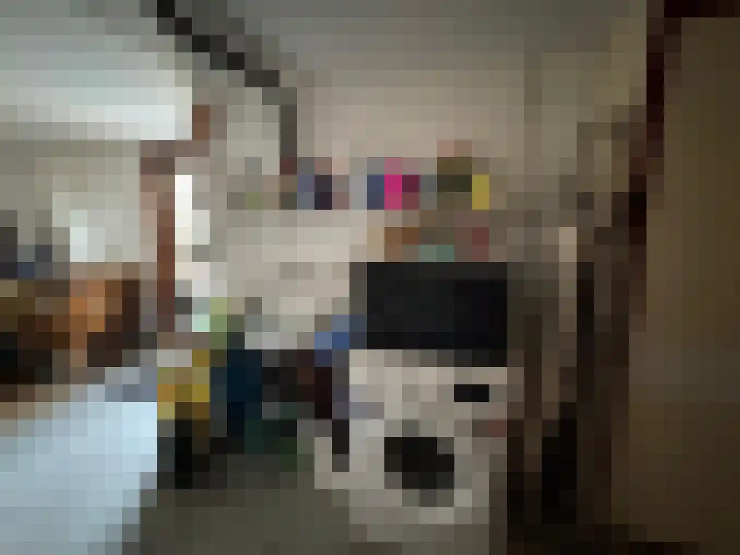 Singelweg 113 Axel thumbnail 19