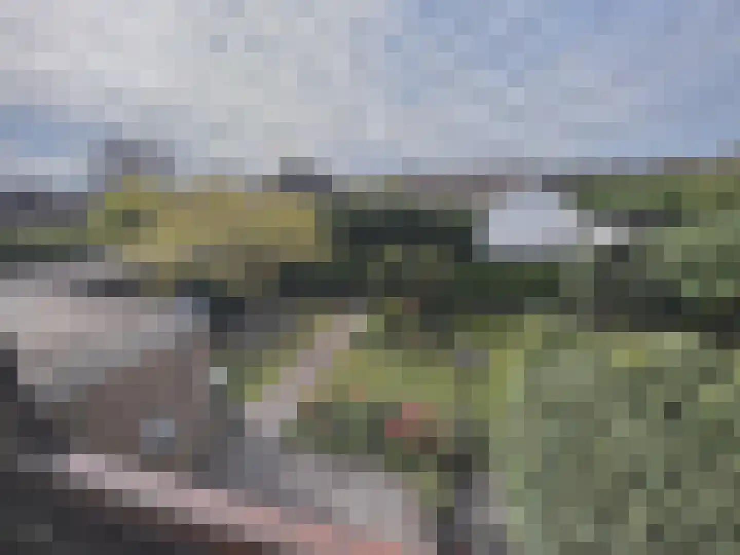 Singelweg 113 Axel thumbnail 20