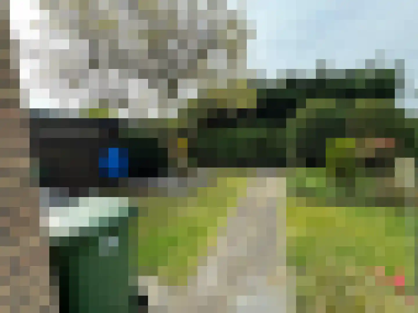 Singelweg 113 Axel thumbnail 21