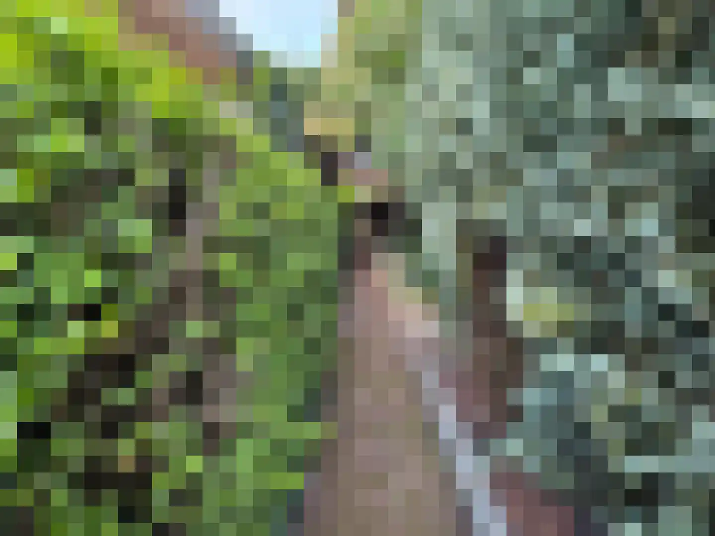 Singelweg 113 Axel thumbnail 22