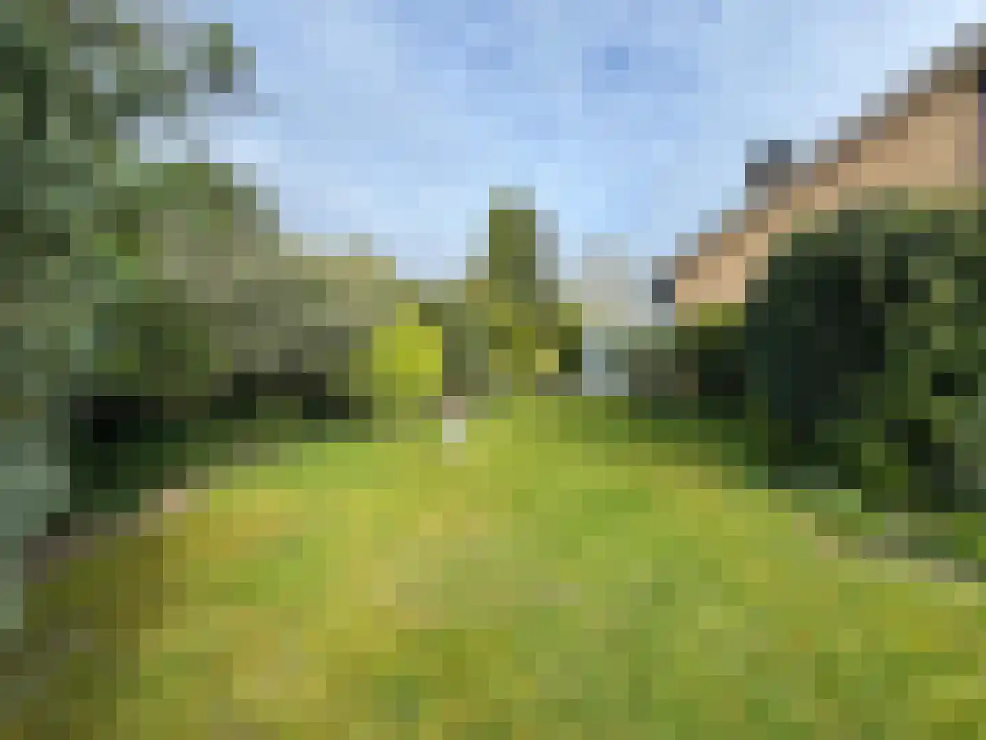 Singelweg 113 Axel thumbnail 23