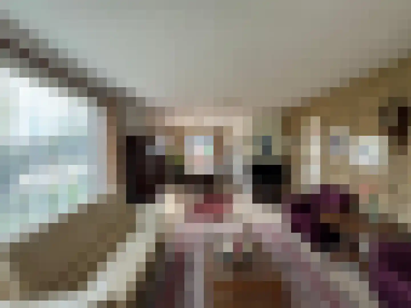 Singelweg 113 Axel thumbnail 4