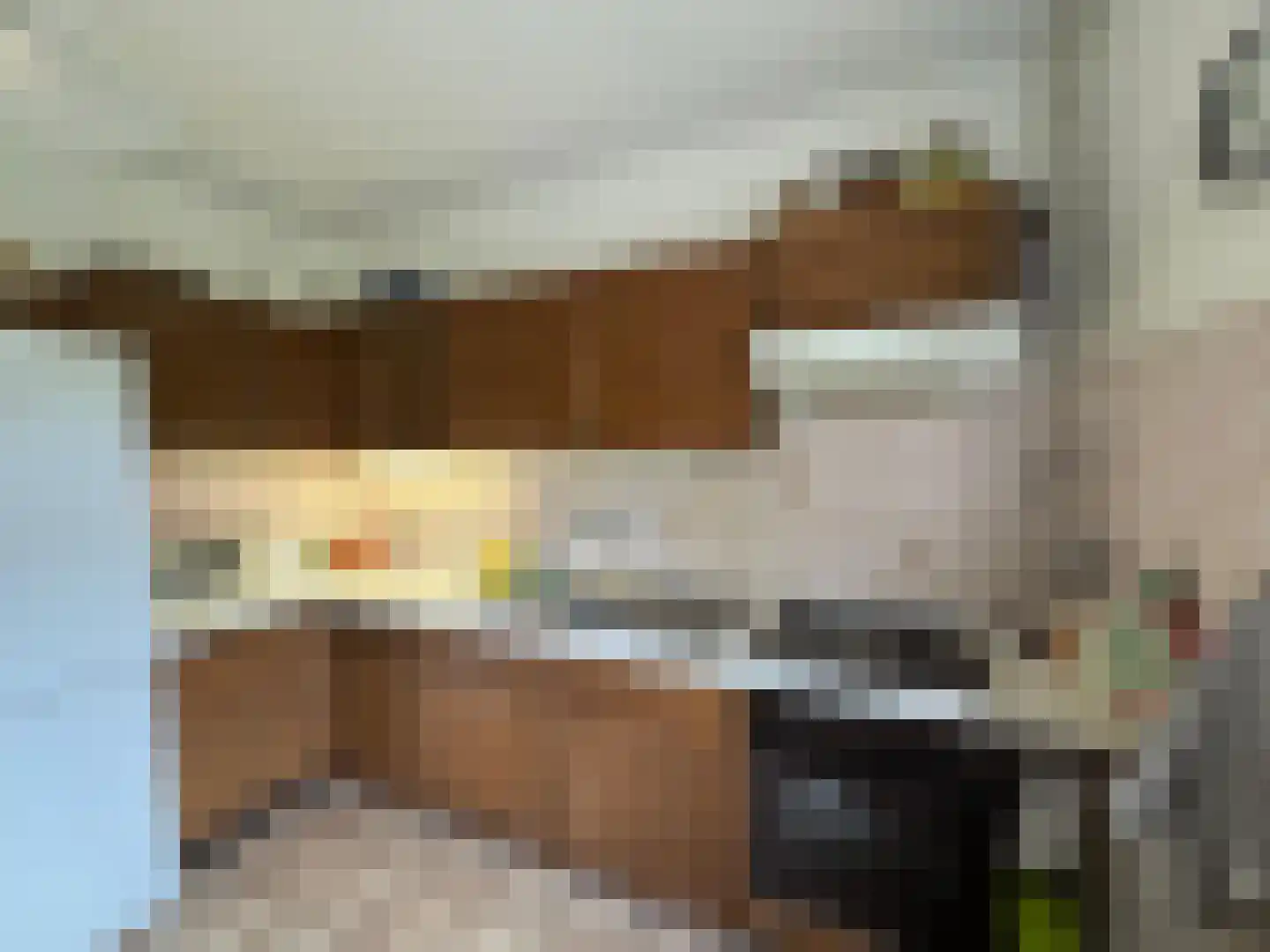 Singelweg 113 Axel thumbnail 6
