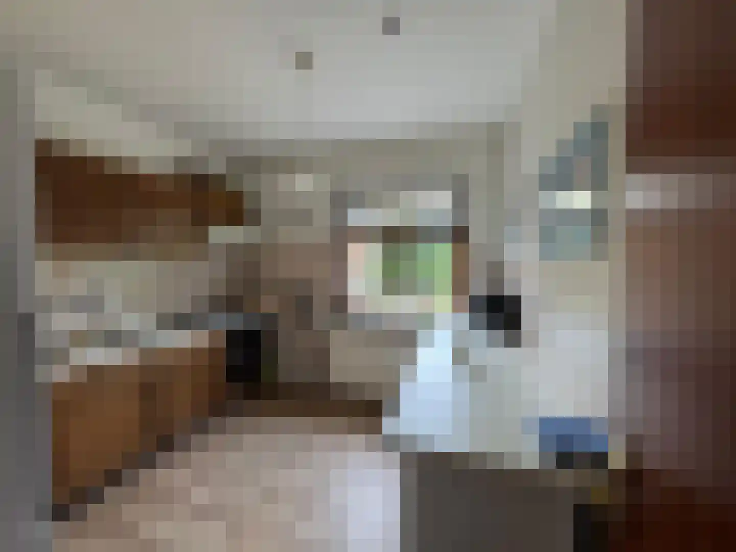 Singelweg 113 Axel thumbnail 7