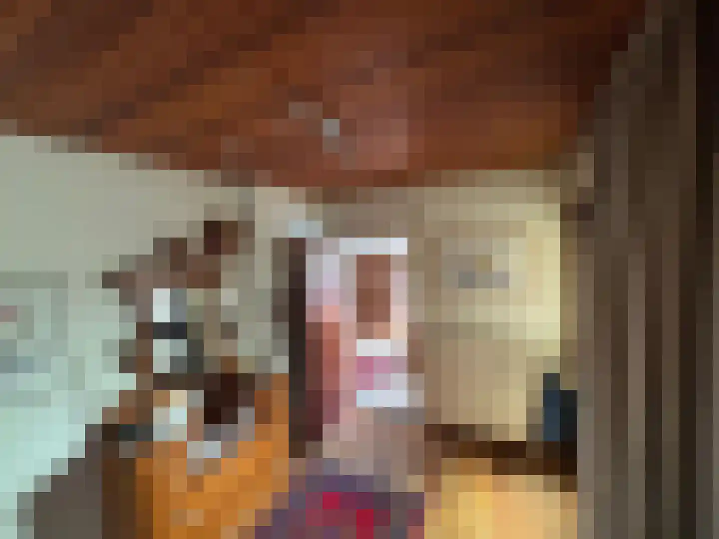 Singelweg 113 Axel thumbnail 8