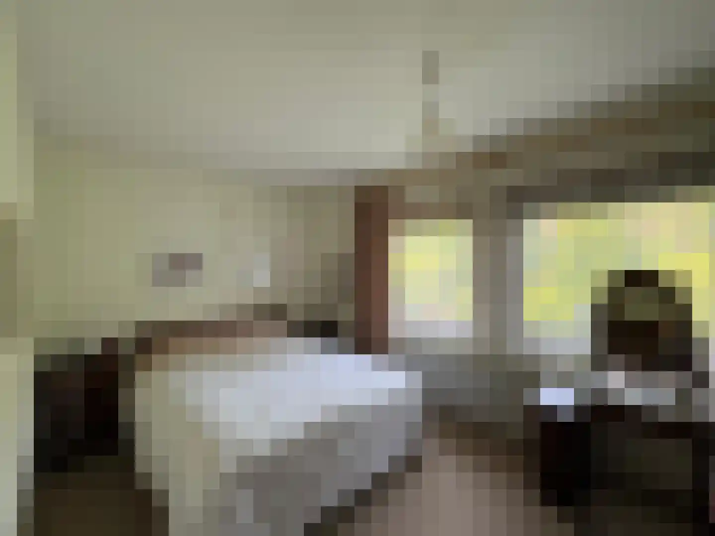 Singelweg 113 Axel thumbnail 9