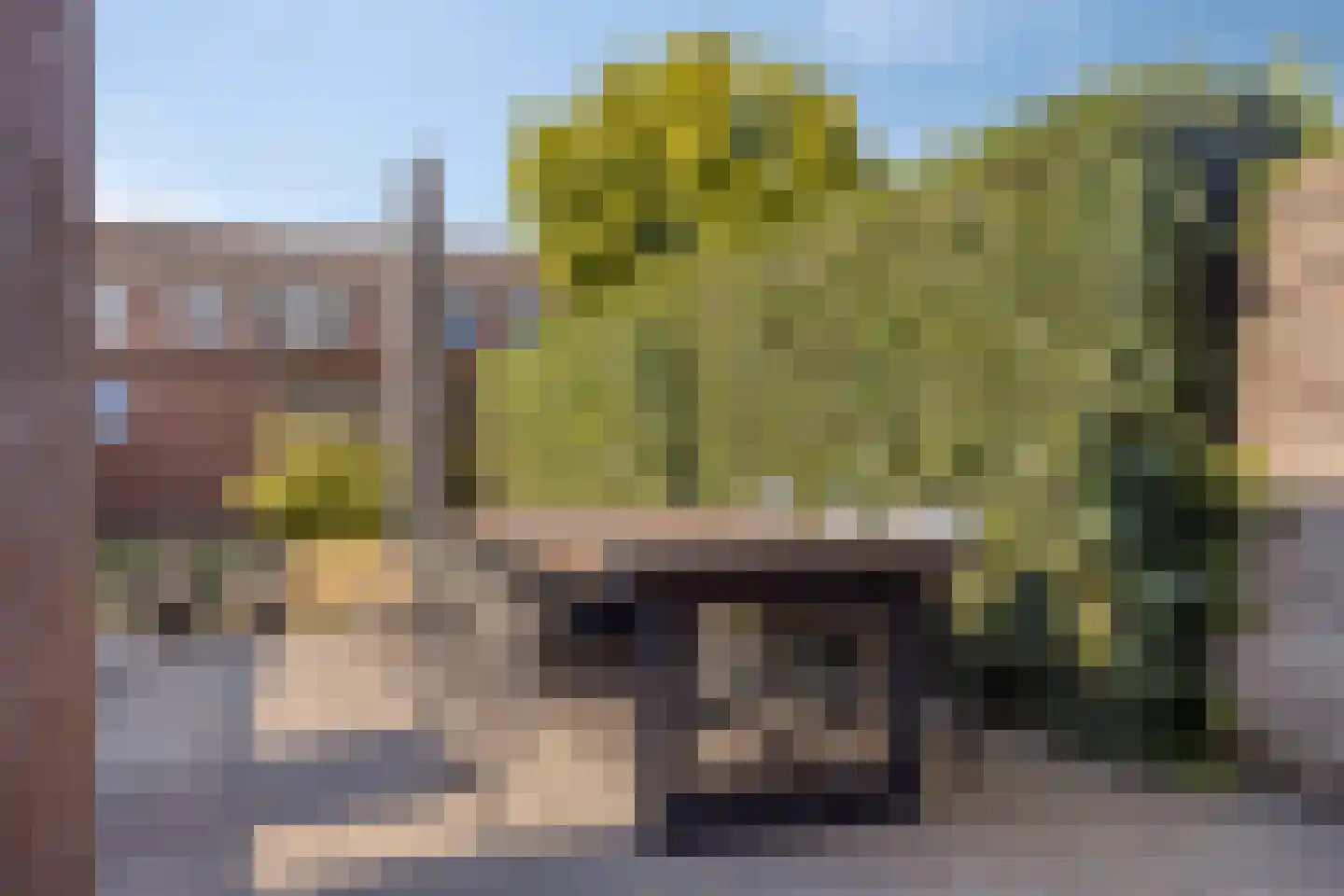 Singelweg 117 Axel thumbnail 24