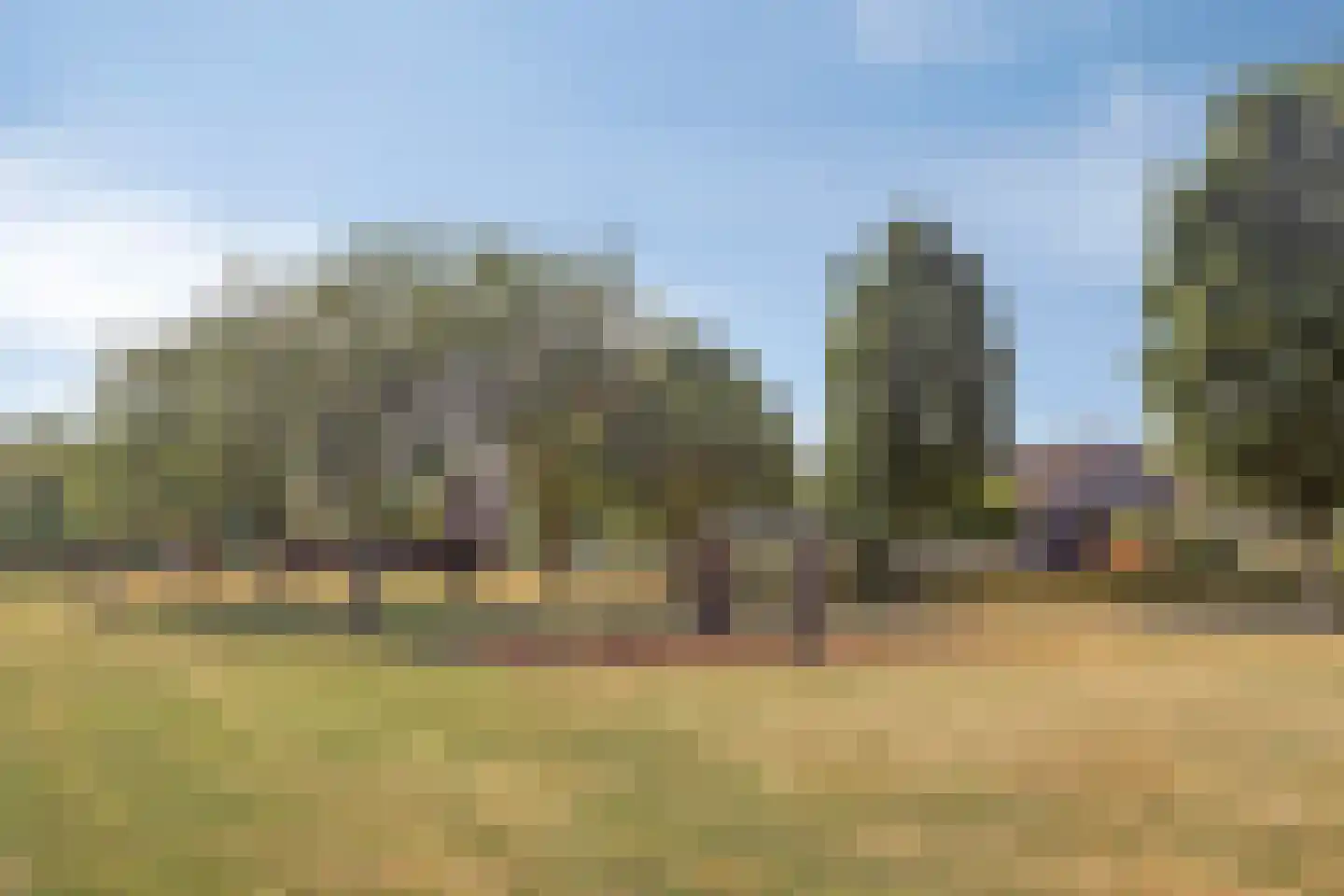 Singelweg 117 Axel thumbnail 32