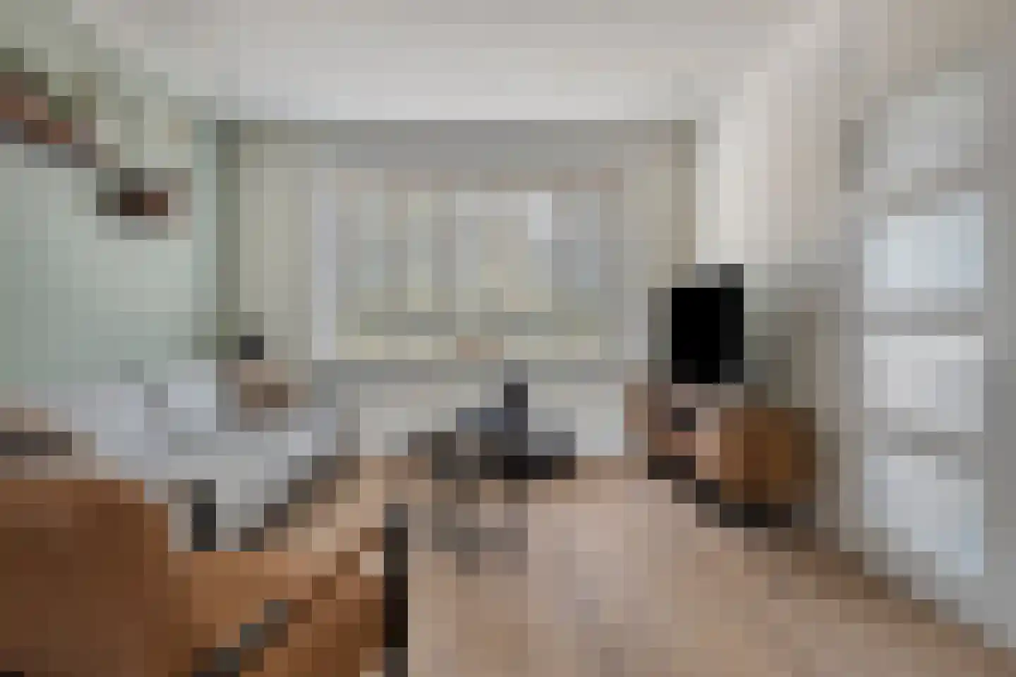 Singelweg 117 Axel thumbnail 4