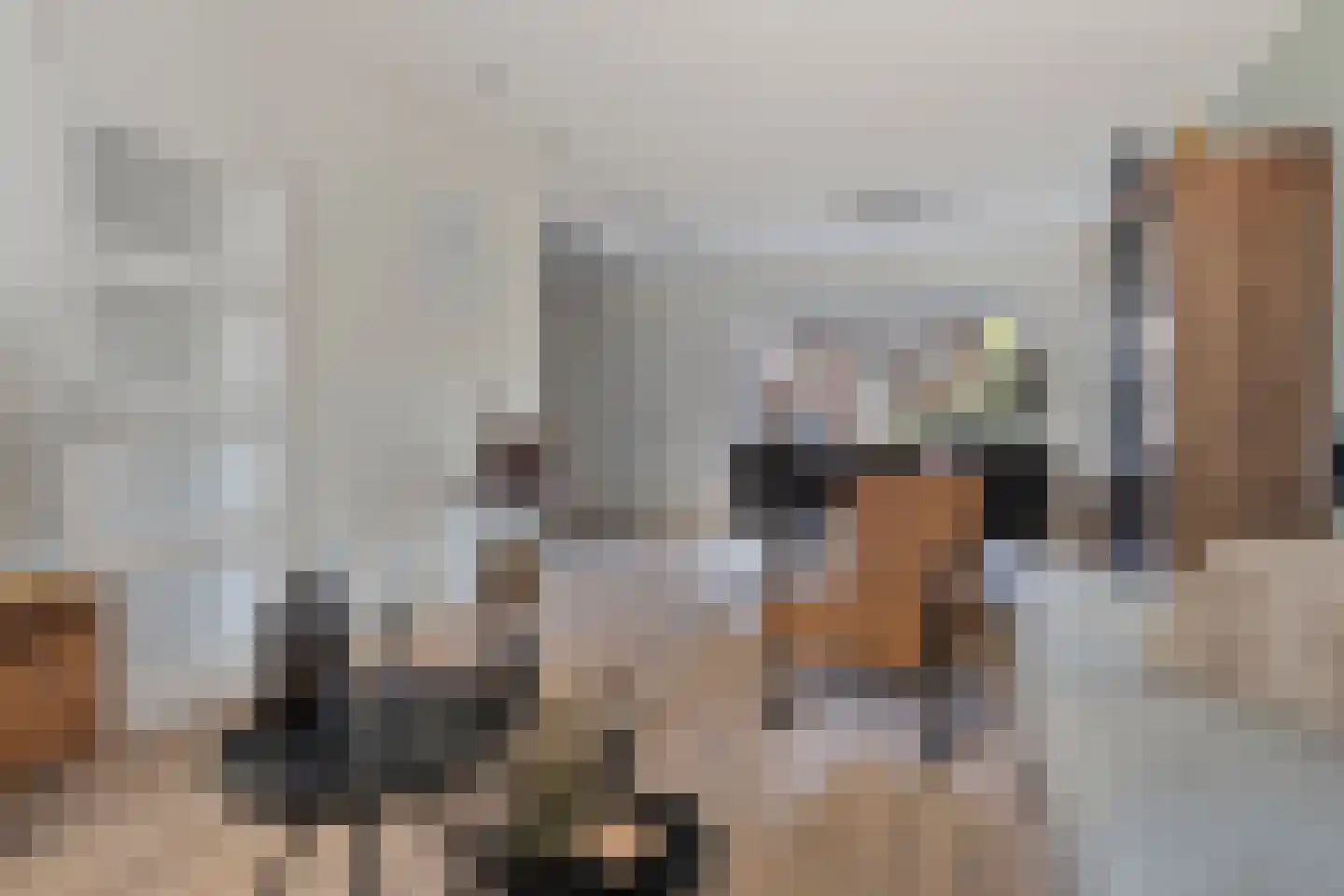 Singelweg 117 Axel thumbnail 6