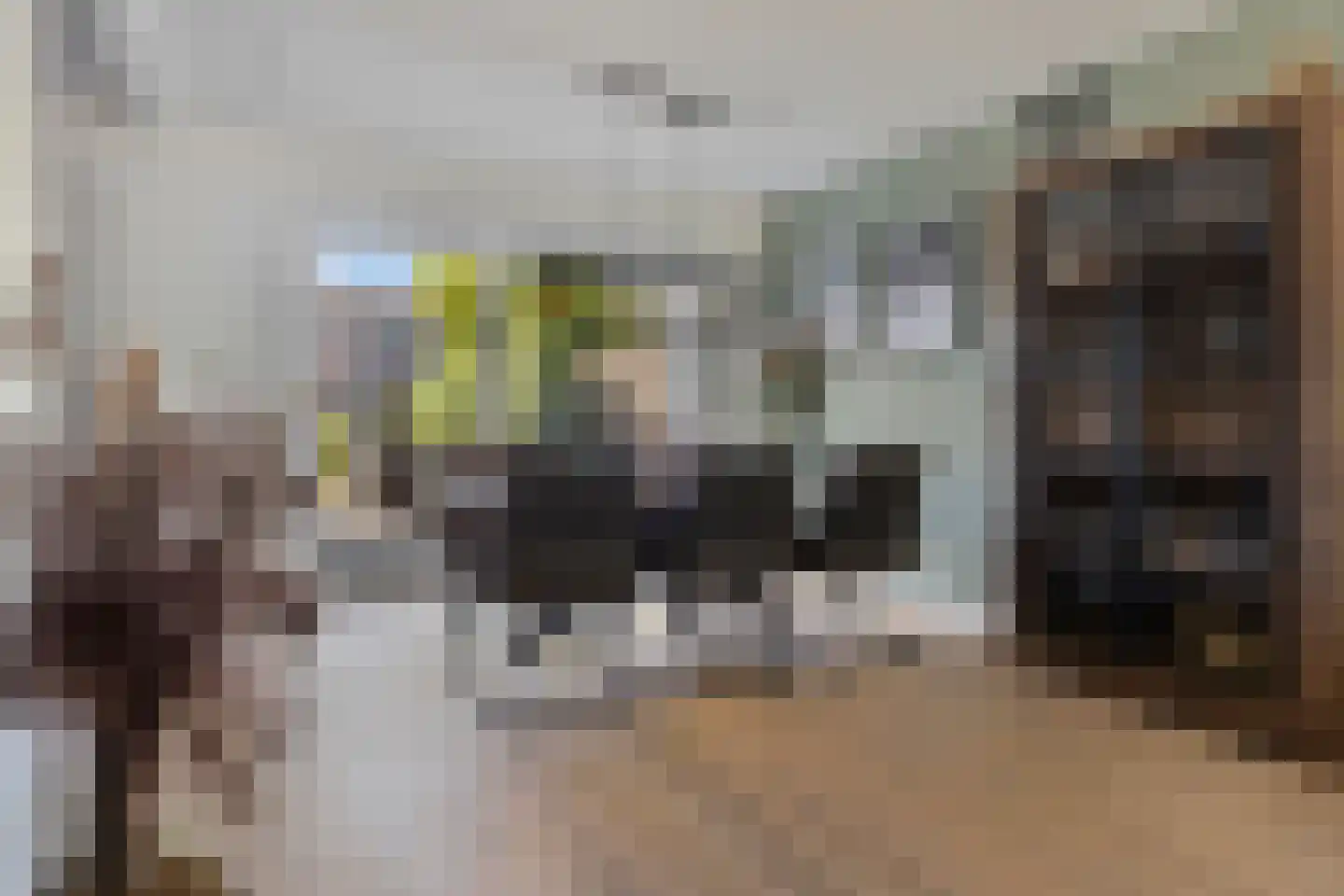 Singelweg 117 Axel thumbnail 7
