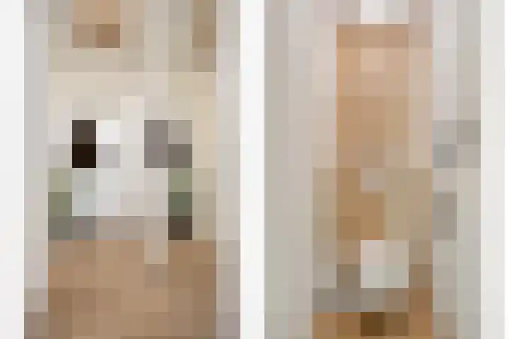 Singelweg 13 Axel thumbnail 10