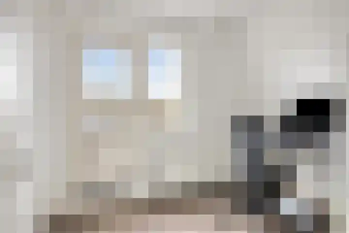 Singelweg 13 Axel thumbnail 14