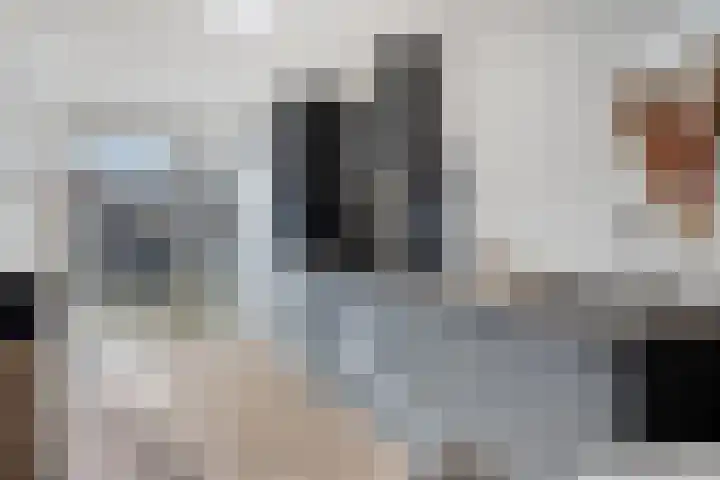 Singelweg 13 Axel thumbnail 6
